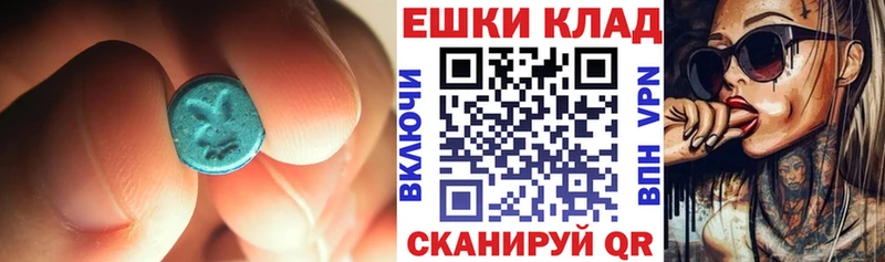 где купить Новая Ладога Экстази louis Vuitton