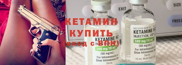 крисы Алексин