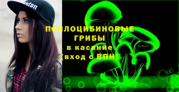 крисы Алексин