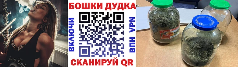 Конопля план  Новая Ладога 